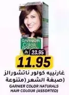 Garnier Color Naturals Hair Colour (Assorted)