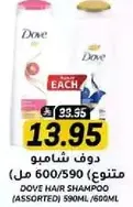 Dove Hair Shampoo (Assorted) 590ml/660ml