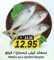 Fresh Laila (Queen Fish) per kg