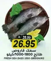 Fresh sea bass 1000-1800g