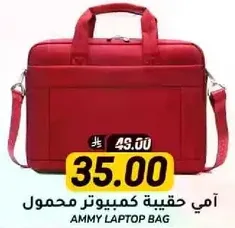 Ammy Laptop Bag