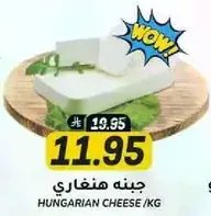 جبنه هنغاريه