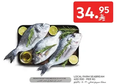 Local farm seabream 400-300 per kg