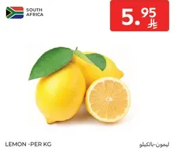 Lemon - Per KG