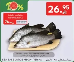 Sea bass large -1800 per kg