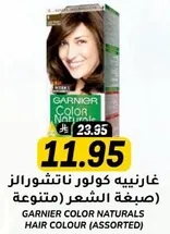 Garnier Color Naturals Hair Colour (Assorted)