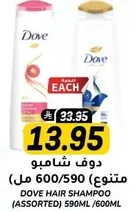 Dove Hair Shampoo (Assorted) 590ML/600ML