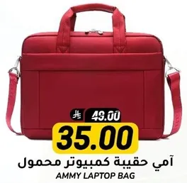Ammy Laptop Bag