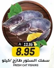Fresh cat fish per kg.