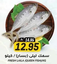 Fresh Laila (Queen Fish) per kg.