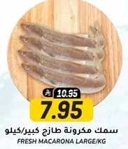 Fresh Macarona Large
