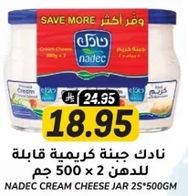 نادك جبنه كريميه قابله للدهن 500 جم × 2