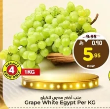 Grape White Egypt Per KG