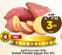 Sweet Potato Egypt