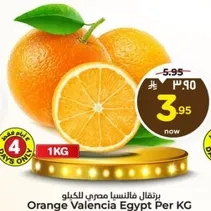 Orange Valencia Egypt Per KG