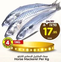 Horse Mackerel Per Kg