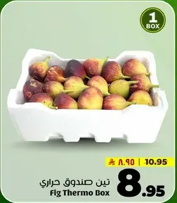 Fig Thermo Box