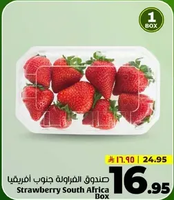 Strawberry South Africa Box
