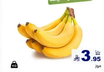 Bananas