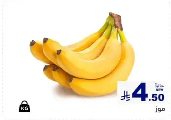 Fresh bananas