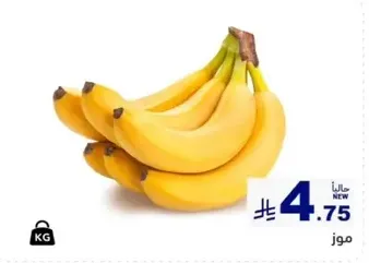Fresh bananas