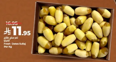 Fresh Dates Sullaj