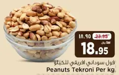 Peanuts Tekroni Per kg