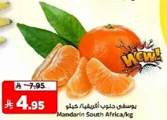 Mandarin South Africa/kg