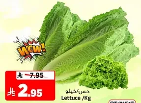 Lettuce /Kg
