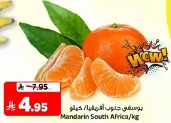 Mandarin South Africa