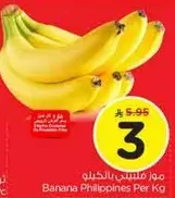 Banana Philippines Per Kg