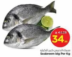 Seabream big Per Kg