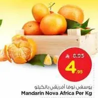 Mandarin Nova Africa Per Kg