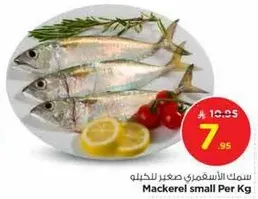 Mackerel small Per Kg