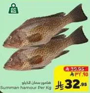 Summan hamour Per Kg