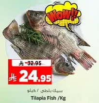 Tilapia Fish /Kg