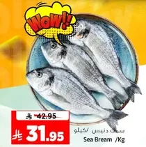 Sea Bream /Kg