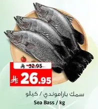 Sea Bass / kg