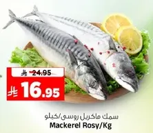 Mackerel Rosy/Kg