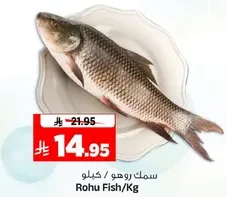Rohu Fish/Kg