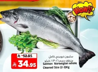 Salmon Norwegian whole Cleaned Size (2-3) Kg