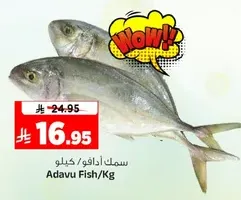 Adavu Fish per Kg.
