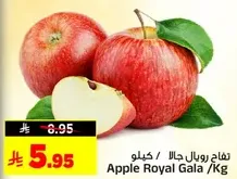 Royal Gala Apples / Kg