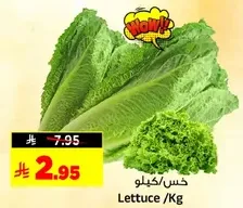 Lettuce /Kg