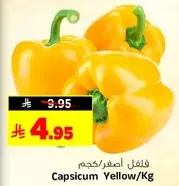 Yellow Capsicum/Kg