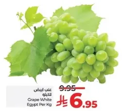 Grape White Egypt Per Kg