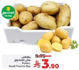 Potato