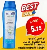 Amalfi Shampoo Anti-dandruff 750ML