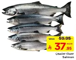 Salmon