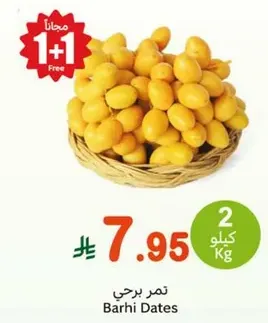 Barhi Dates